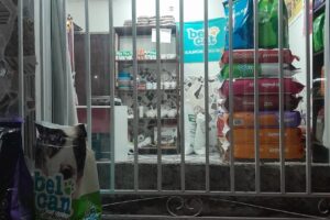 Ricitos de Plata Pet Shop