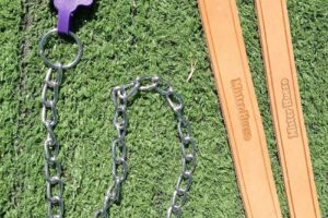 Ringo Tienda de mascotas