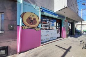 Rino tienda para mascotas