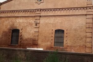 Roberto Cicilotto Nutrición Animal