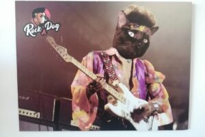 Rock Dog Tienda de mascotas y Vivero