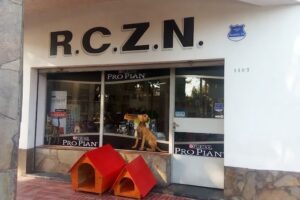 Roller Club Zona Norte