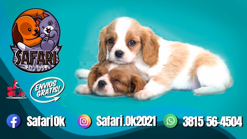 SafariPetShop
