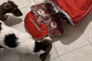 Salvaje Almacén Animal