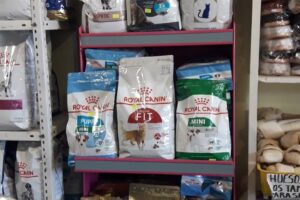 San Cayetano Mascotas