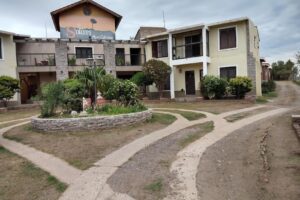 Semilleria los Amigos