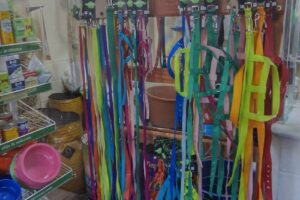 Semilleria virgen de lujan