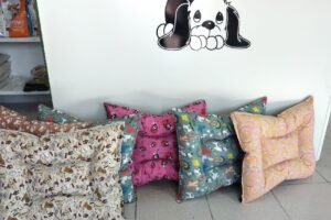 Sexta Pet Peluqueria Canina