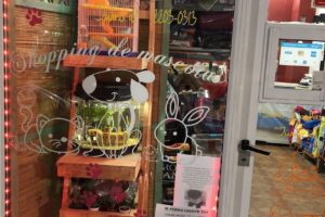 Shopping de Mascotas