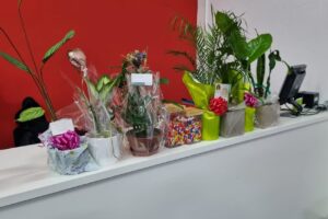 Sia tienda de mascotas