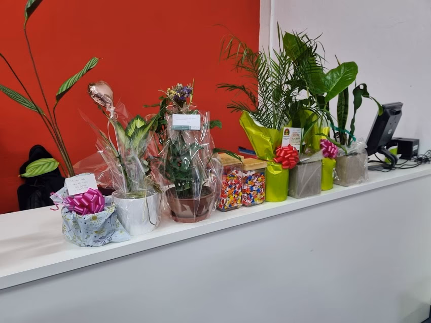 Sia tienda de mascotas