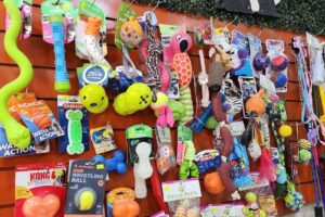 Siguiendo Tus Huellas Petshop Spa