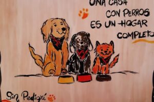 Sin Pedigrí Petshop
