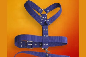 SrBoyiyo Tienda de Mascotas