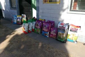 Sr Chamorro Distribuidora Mayorista