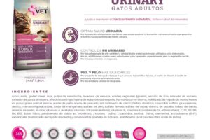 Star Distribuidora Srl