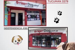 Street Dog Independencia