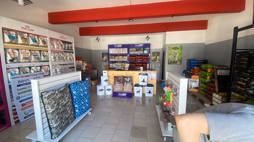 Street Dog Independencia