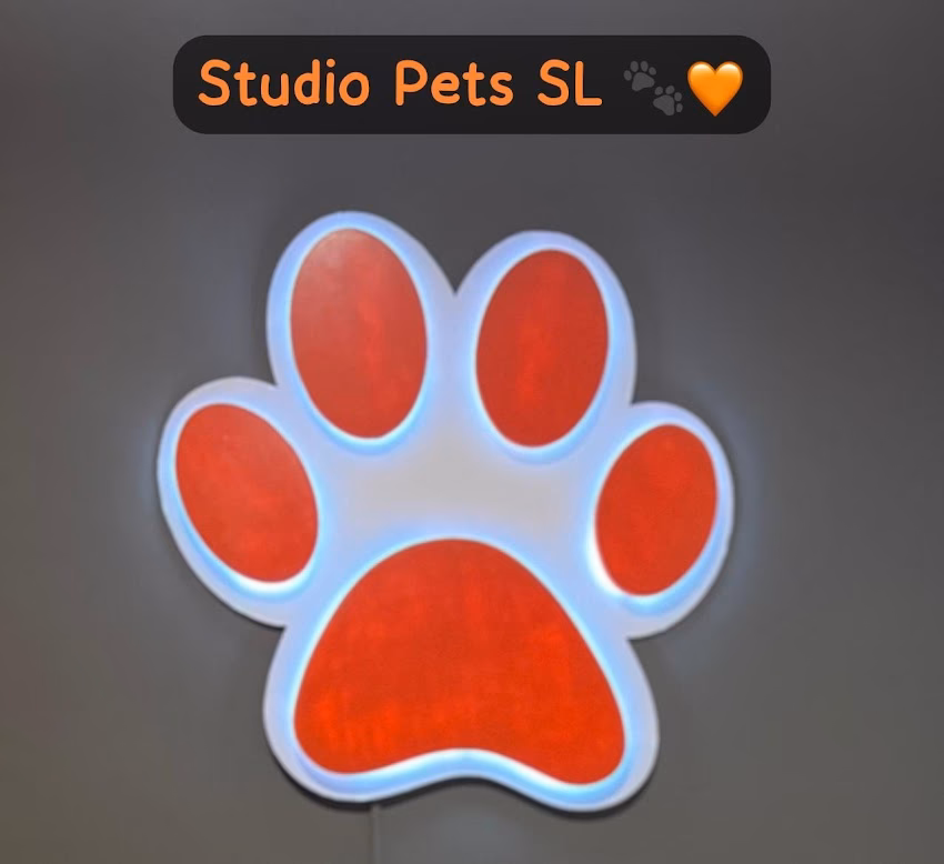 Studio Pets Sl