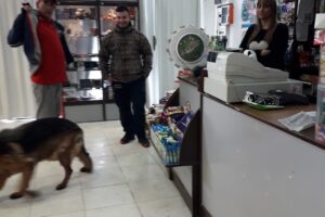 Supermercado Maxicol