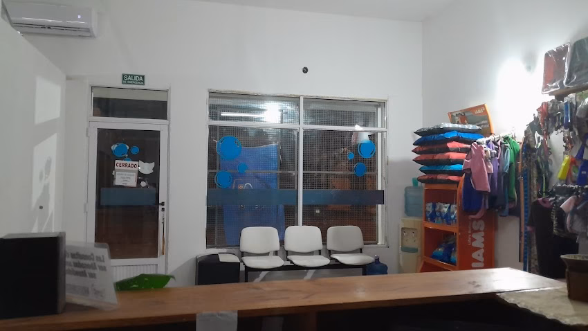 Teos Can clinica veterinaria