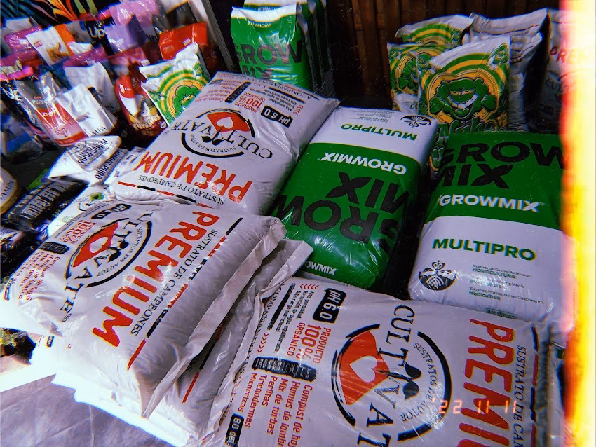 Terra Nova Olavarría