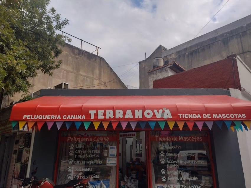 Terranova