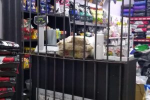 Tienda alimentosde mascotas