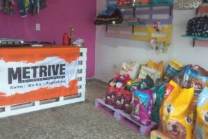 Tienda De Mascostas