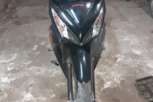 Tienda de mascotas 420