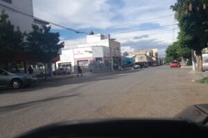 Tienda de Mascotas Antü