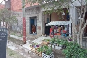 Tienda de mascotas Don Gato