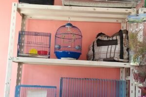 Tienda de mascotas La Unica