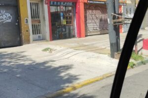 Tienda de Mascotas Patan