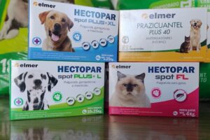 Tienda de mascotas PetShop CatDog