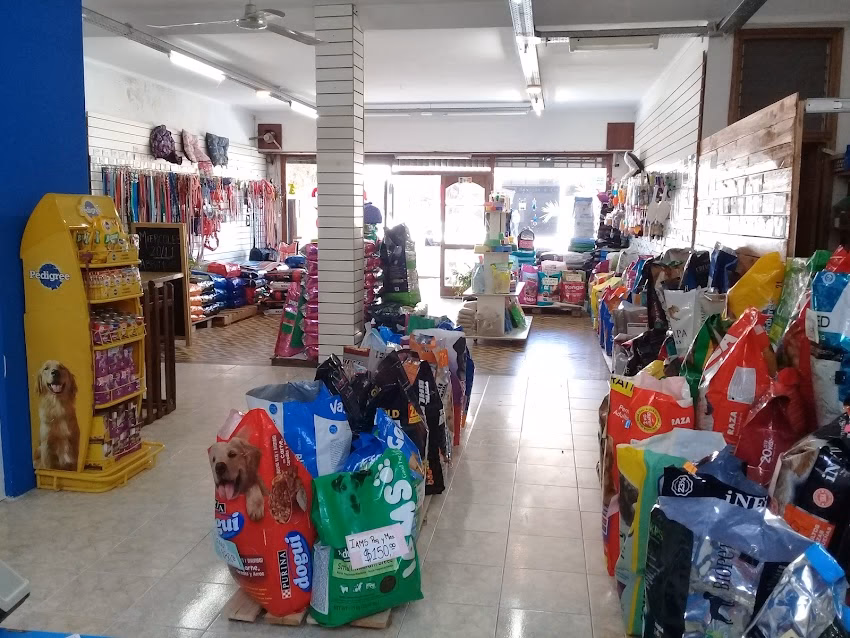 Tienda de Mascotas Sindy