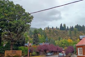 Tienda de Mascotas Tdm