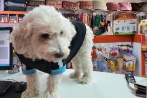 Tienda de Mascotas Tdm