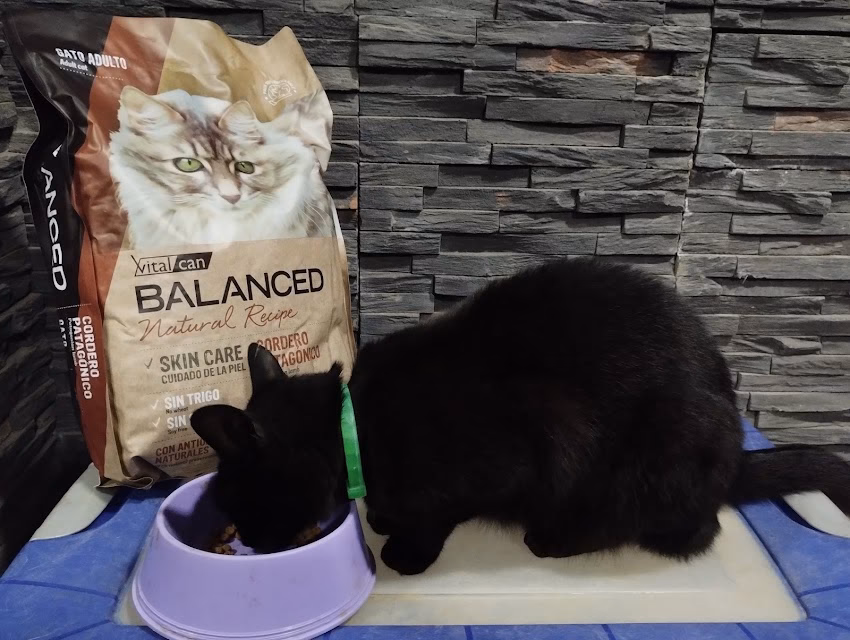 Tienda de Mascotas Tdm