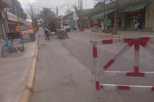 Tienda Naturista 4 Patas