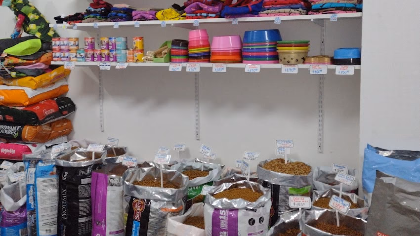 Tienda Para Mascotas Ex Terminal
