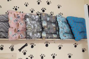 Tienda Para Mascotas Mora