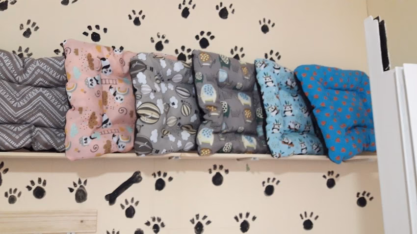 Tienda Para Mascotas Mora