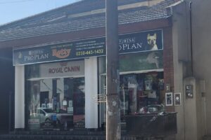 Tienda Para Mascotas Rotty