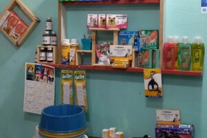 Tienda para mascotas y forrajeria Dg