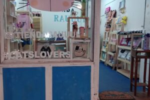Tienda Rauuul Objetos con gatitos