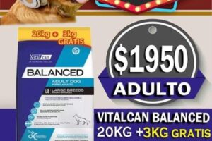 Tierra de Osos pet shop