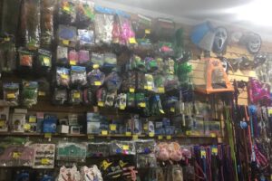 Today Trend Srlworld Fashion