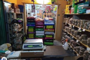 Todo Mascotas Morena