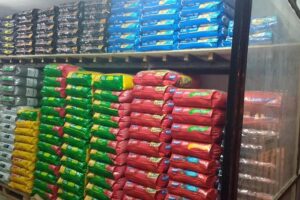 Todo Mascotas Peluqueria Canina